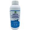 Bleu Line CIPEX 10 E INSETTICIDA A BASE DI CIPERMETRINA LT.1 ZANZARE MOSCHE FORMICHE ECC.