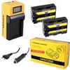 Patona 2x Batteria Patona + caricabatteria Synchron LCD USB per Sony DCR-DVD91E