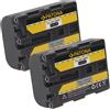 Patona 2x Batteria Patona 7,2V 1300mAh per Sony DCR-DVD91E,DCR-HC14,DCR-HC14E,DCR-HC15