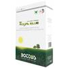 BOTTOS - SEMI PRATO TAPPETO ERBOSO PROFESSIONALE ROYAL BLUE DA KG 1. SEMENTI
