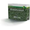 BOTTOS SEMI TAPPETO ERBOSO PRATO DICHONDRA REPENS BOTTOS DICONDRA CONFEZIONE DA 1 KG