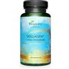 Vegavero Collagene Vegano + Acido Ialuronico ® | Vollagen®: Alta Biodisponibilità Da Ferm