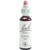 BACH FIORI DI BACH GORSE 20ml - Flacone di vetro da 20 ml con contagocce