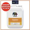 Caparol Antimuffa CAPAROL igienizzante Muffa Stop ko pittura murale per interni esterno