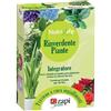 Zapi Garden Rinverdente Piante Nutrilife ZAPI chelato di ferro 5 buste x 50 Litri