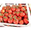 3D Rose 50 SEMI DI POMODORO ROSSO A GRAPPOLO +SPEDIZIONE GRATUITA