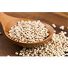 100 SEMI DI SORGO BIANCO "durra bianca" "SPEDIZIONE GRATUITA"
