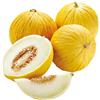 Purple 20 SEMI MELONE GIALLO SICILIANO +SPEDIZIONE GRATUITA "