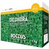 Bottos DICONDRA, Semi per Prato Dichondra Repens, Bassa Manutenzione - 1Kg(80mq)