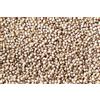Purple 100 SEMI DI SORGO BIANCO "durra bianca"+ "SPEDIZIONE GRATUITA "