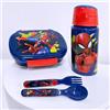 Disney Set Contenitore Portapranzo Box Portamerenda + Borraccia Alluminio con Cannuccia