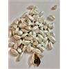 Senza marchio 50 GM Indian Mukhwas Mouth Deoshener Silver Elaichi Cardamom, SPEDIZIONE GRAT...