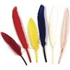 Rayher Piume Indiane, Assortiti, 10,5 Cm, Busta 24 Pz, 8525349