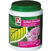 Vebi SOLFATO FERROSO Concime ANTIMUSCIO RIVERDENTE CLOROSI piante orto VEBI 1 KG