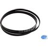 Electrolux CINGHIA 1886 H7 ASCIUGATRICE REX ELECTROLUX ORIGINALE 8091838014
