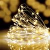 wisdom Luci di Natale catena da 600 microled spina 31V esterno cavo rame 30mt 8 giochi