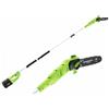 GreenWorks Potatore ad asta GREENWORKS GD60PS 60V 2.0Ah batteria e caricabatteria inclusi