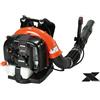 Echo PB 770 Soffiatore a scoppio spalla zaino professionale potente per foglie