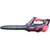 BLUEBIRD SOFFIATORE A BATTERIA PER FOGLIE GIARDINO 21V-5Ah BL 22-300 BLUEBIRD