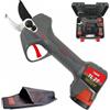 LISAM TL 27 FORBICE A BATTERIA DA POTATURA Ø27mm 2 BATTERIE 2Ah FODERO INCLUSO