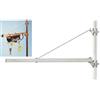 BricoShop24 Supporto Braccio a Bandiera per Paranco Montacarichi 125kg Tiratutto Argano Asta