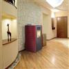 King STUFA A PELLET KING 118 10 KW PER AMBIENTI FINO A 230 MC BORDEAUX COD.9807