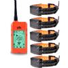 Dogtrace Satellitare Dogtrace X20+ con 5 collari