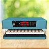 Incubatrice per uova di quaglia di pollo Incubatrice automatica per uova per