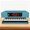 Incubatrice per uova con display a LED Incubatrice automatica per uova per
