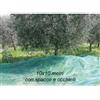 BricoShop24 Rete per Raccolta Olive 10x10 mt con Spacco Occhielli Telo Antispina Polietilene