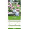 Alpha Edition Family Planner Gardens 2025 - Calendari da parete della famiglia 19,5 x 45 cm