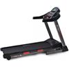 Everfit Tapis Roulant Elettrico Everfit TFK 950 HRC APP Ready Motore 3 CHP 20 Km/h
