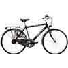 CICLI MARA BICI MARA CICLI CITY BIKE CTB GIORNALI BICICLETTA UOMO 28''ACCIAIO 1VEL VINTAGE