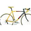 Olmo BICI STRADA OLMO MADE IN ITALY RIGEL ALLUMINIO CROMOLLY CAMPAGNOLO 2X9V