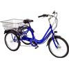 CICLI CASADEI BICI TRE RUOTE ELETTRICA E-BIKE MISURA 20 TRICICLETTA BATTERIA ANSMANN E-TR20
