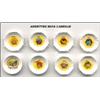 FEVES APE MAIA PIATTINI Set 8 Miniature 3cm Porcellana FEVES Francia Maya Maja