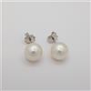 ORECCHNI PERLE AUSTRALIA WHITE Misura 10 - 10.5 mm - ORO BIANCO 18 KT