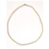 MIKIKO Collana Donna MIKIKO MFC450O4FCBI055 In Perle Con Chiusura Oro Bianco