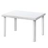 DIMAPLAST 2000 srl TAVOLO DA GIARDINO 120x80 IN RESINA DIMAPLAST CALAF