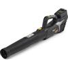 Alpina SOFFIATORE A BATTERIA ALPINA ABL 20