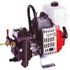 FRASCHETTI POMPA IRRORAZIONE DL218 motore a scoppio 2 T - 2 hp, 18 lt/min. - 0/20 atm.