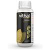 ITAL-AGRO VITHAL EXPERT FUNGIBIO Kg. 1 contro diversi funghi patogeni