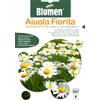 BLUMEN AIUOLA FIORITA MISCUGLIO DI FIORI prato con margherite