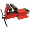 BricoShop24 Morsa da Banco da Lavoro 125 mm Ganasce in Acciaio Professionale Officina a Vite