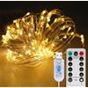 Partenopea Serie luci Natale a led catena USB Microled luce calda filo rame con Telecomando