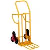 Garden Carrello Portapacchi per Scale Trasporto 250 Kg Portatutto Bravetta con 3 Ruote