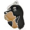 MY FAMILY PETS MEDAGLIETTA INCISA SERIE FRIENDS - TARGHETTA CANE GORDON SETTER