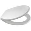 BricoShop24 Sedile Water Asse in Resina Copri Wc Universale Tavoletta con Cerniere Plastica