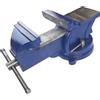 Acd & Shop Morsa da Banco Professionale Girevole 125 MM Incudine in Ghisa e Acciaio