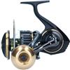 Daiwa Mulinello 20 BG Mq Ark Model